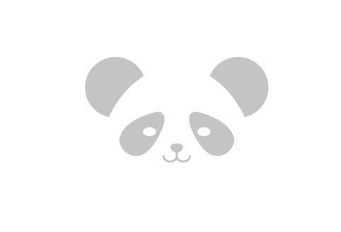 Professional Panda Hero